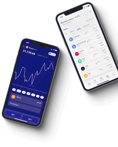 Zepvixai análisis financiero